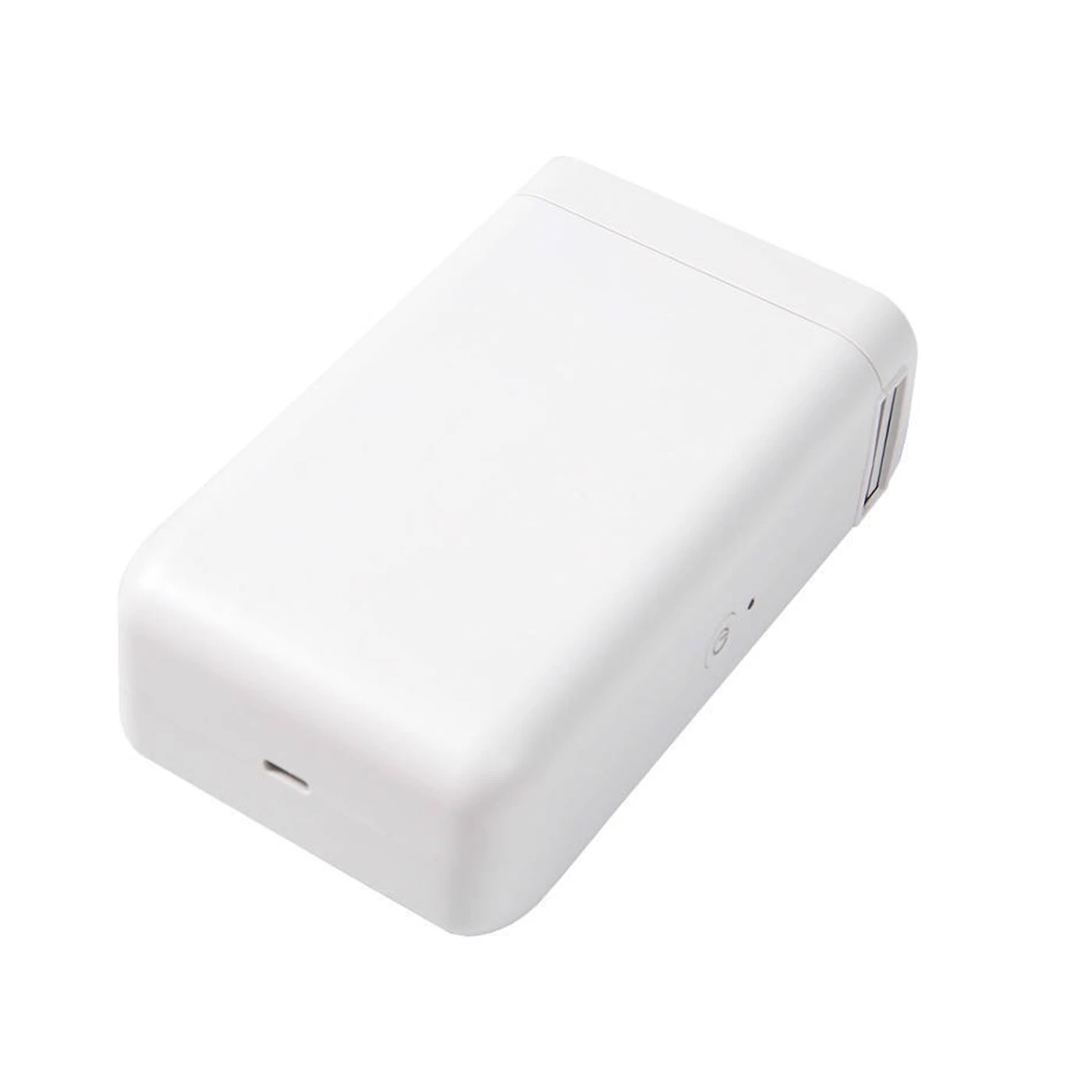 Niimbot D101 Portable Label Printer