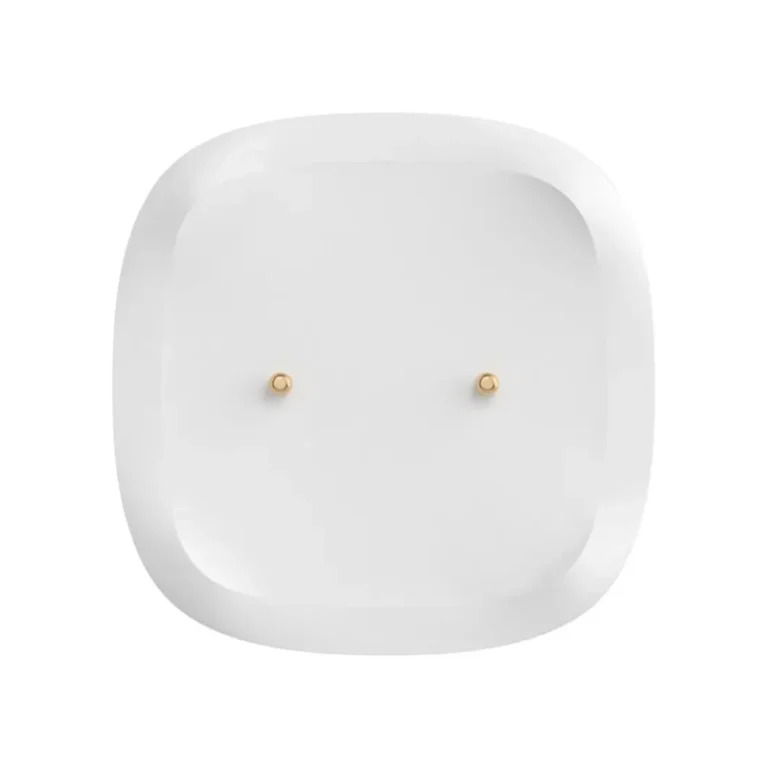 sonoff snzb 05p Ασύρματος Ανιχνευτής Πλημμύρας zigbee / wi fi